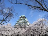 大阪城公園 西の丸庭園に投稿された画像（2022/4/1）