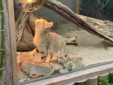 神戸どうぶつ王国に投稿された画像（2022/4/1）