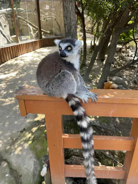 神戸どうぶつ王国に投稿された画像（2022/4/1）