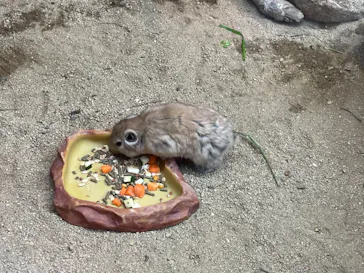 神戸どうぶつ王国に投稿された画像（2022/4/1）