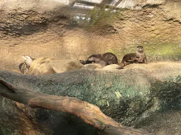 神戸どうぶつ王国に投稿された画像（2022/4/1）