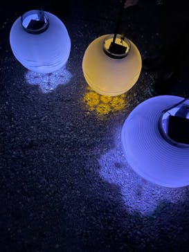 NAKED FLOWERS 2022 -桜- 世界遺産・二条城に投稿された画像（2022/4/1）