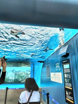 サンシャイン水族館に投稿された画像（2022/4/1）