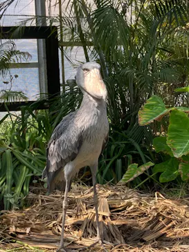 神戸どうぶつ王国に投稿された画像（2022/4/1）