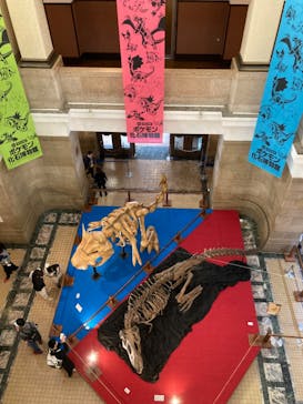 国立科学博物館　特別企画展「ポケモン化石博物館」に投稿された画像（2022/4/1）