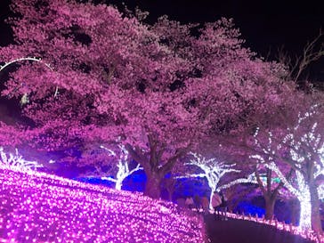 さがみ湖MORI MORIに投稿された画像（2022/4/1）