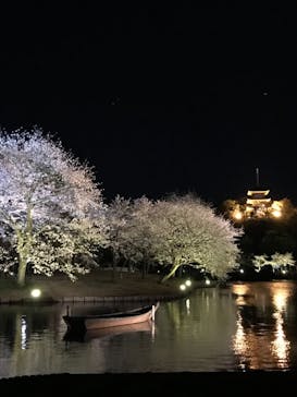 三溪園に投稿された画像（2022/4/1）