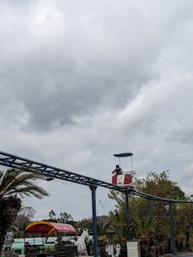 伊豆ぐらんぱる公園に投稿された画像（2022/4/1）