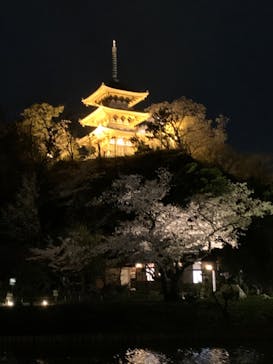 三溪園に投稿された画像（2022/4/1）