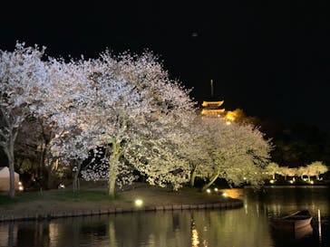 三溪園に投稿された画像（2022/4/1）