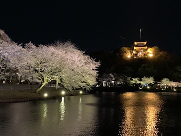 三溪園に投稿された画像（2022/4/1）