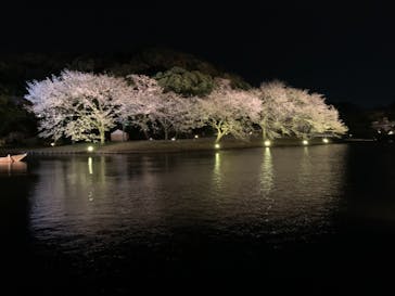 三溪園に投稿された画像（2022/4/1）