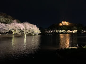 三溪園に投稿された画像（2022/4/1）