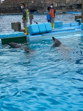 名古屋港水族館に投稿された画像（2022/4/1）