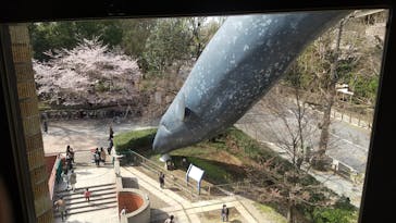 国立科学博物館に投稿された画像（2022/4/1）