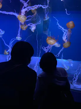 すみだ水族館に投稿された画像（2022/4/1）