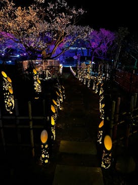 せんだい農業園芸センター　みどりの杜に投稿された画像（2022/4/1）