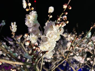 せんだい農業園芸センター　みどりの杜に投稿された画像（2022/4/1）