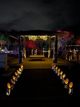 せんだい農業園芸センター　みどりの杜に投稿された画像（2022/4/1）