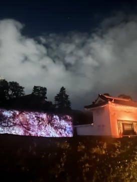 NAKED FLOWERS 2022 -桜- 世界遺産・二条城に投稿された画像（2022/4/1）