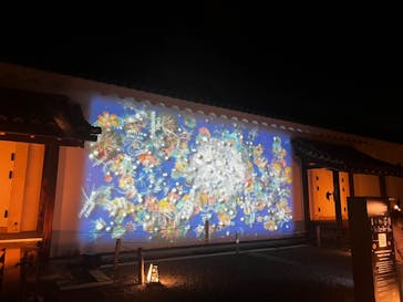 NAKED FLOWERS 2022 -桜- 世界遺産・二条城に投稿された画像（2022/4/1）