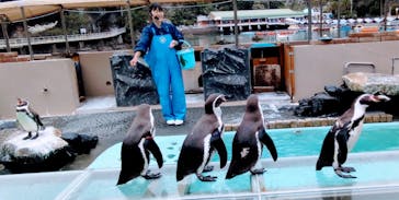 下田海中水族館に投稿された画像（2022/4/1）