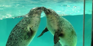 下田海中水族館に投稿された画像（2022/4/1）