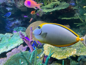 サンシャイン水族館に投稿された画像（2022/4/1）