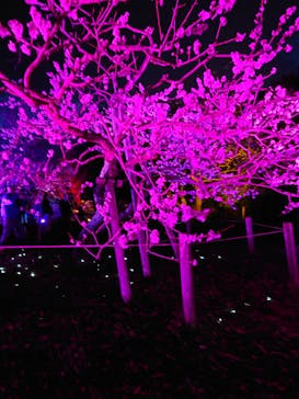 せんだい農業園芸センター　みどりの杜に投稿された画像（2022/4/1）