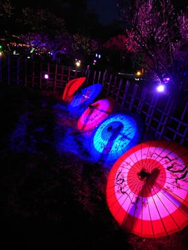 せんだい農業園芸センター　みどりの杜に投稿された画像（2022/4/1）