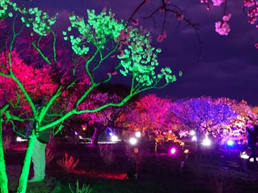 せんだい農業園芸センター　みどりの杜に投稿された画像（2022/4/1）