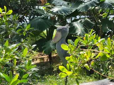 神戸どうぶつ王国に投稿された画像（2022/4/1）