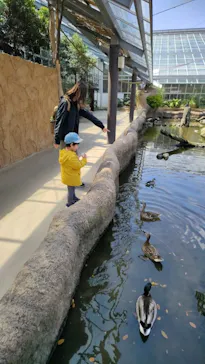 神戸どうぶつ王国に投稿された画像（2022/4/1）