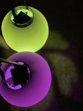 NAKED FLOWERS 2022 -桜- 世界遺産・二条城に投稿された画像（2022/4/2）