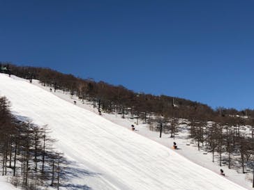 アサマ2000パークに投稿された画像（2022/4/2）