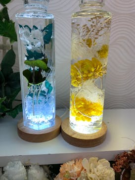 ずこうしつ〜sugamo〜に投稿された画像（2022/4/2）