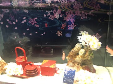 マクセル アクアパーク品川に投稿された画像（2022/4/2）