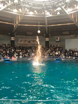 マクセル アクアパーク品川に投稿された画像（2022/4/2）