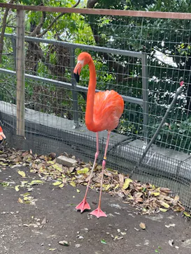 横浜・八景島シーパラダイスに投稿された画像（2022/4/2）
