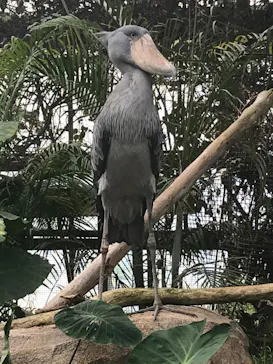 神戸どうぶつ王国に投稿された画像（2022/4/2）