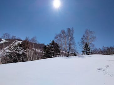 志賀高原中央エリアスキー場に投稿された画像（2022/4/2）