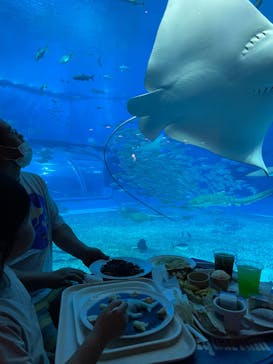 沖縄美ら海水族館に投稿された画像（2022/4/2）