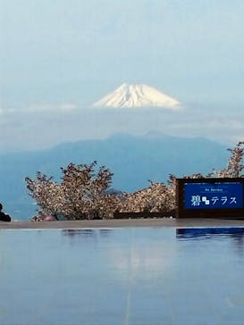 伊豆パノラマパークに投稿された画像（2022/4/2）