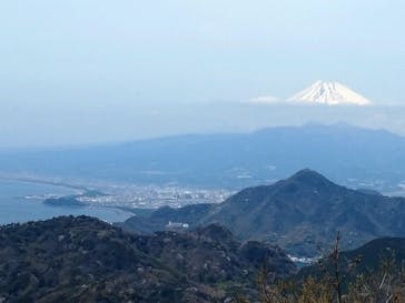 伊豆パノラマパークに投稿された画像（2022/4/2）