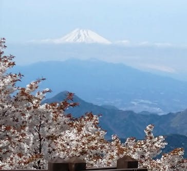 伊豆パノラマパークに投稿された画像（2022/4/2）