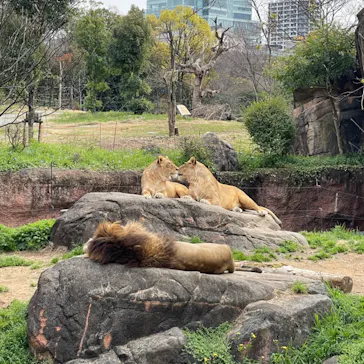 天王寺動物園に投稿された画像（2022/4/2）