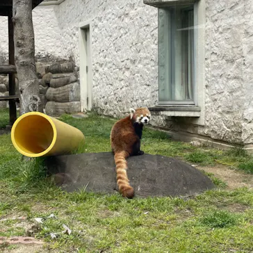 天王寺動物園に投稿された画像（2022/4/2）