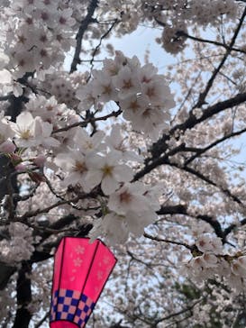 千葉こどもの国 キッズダムに投稿された画像（2022/4/2）