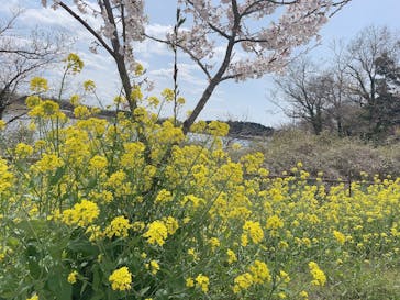 千葉こどもの国 キッズダムに投稿された画像（2022/4/2）