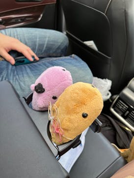 アロハガーデンたてやまに投稿された画像（2022/4/2）